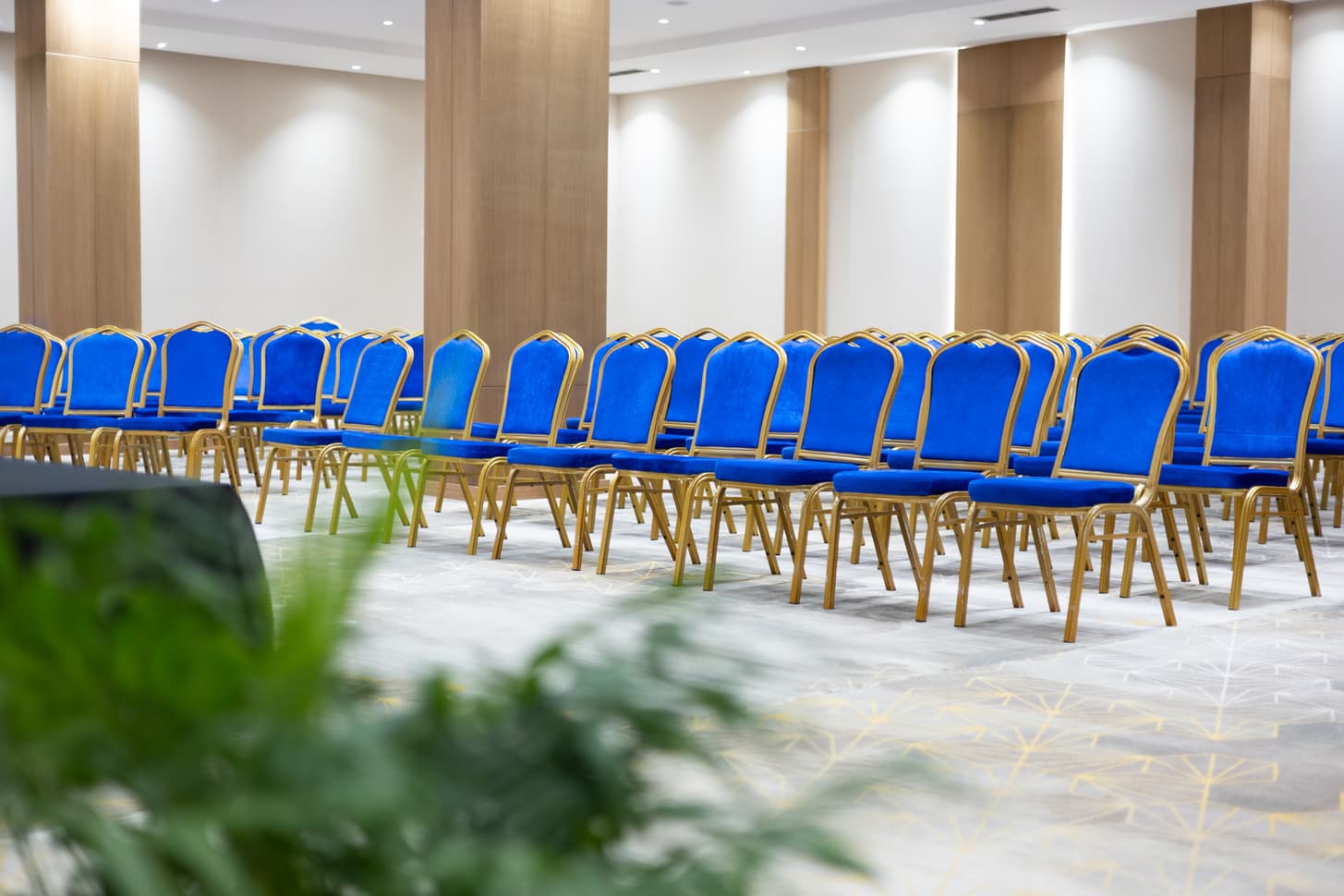 Përvojë konference të veçantë